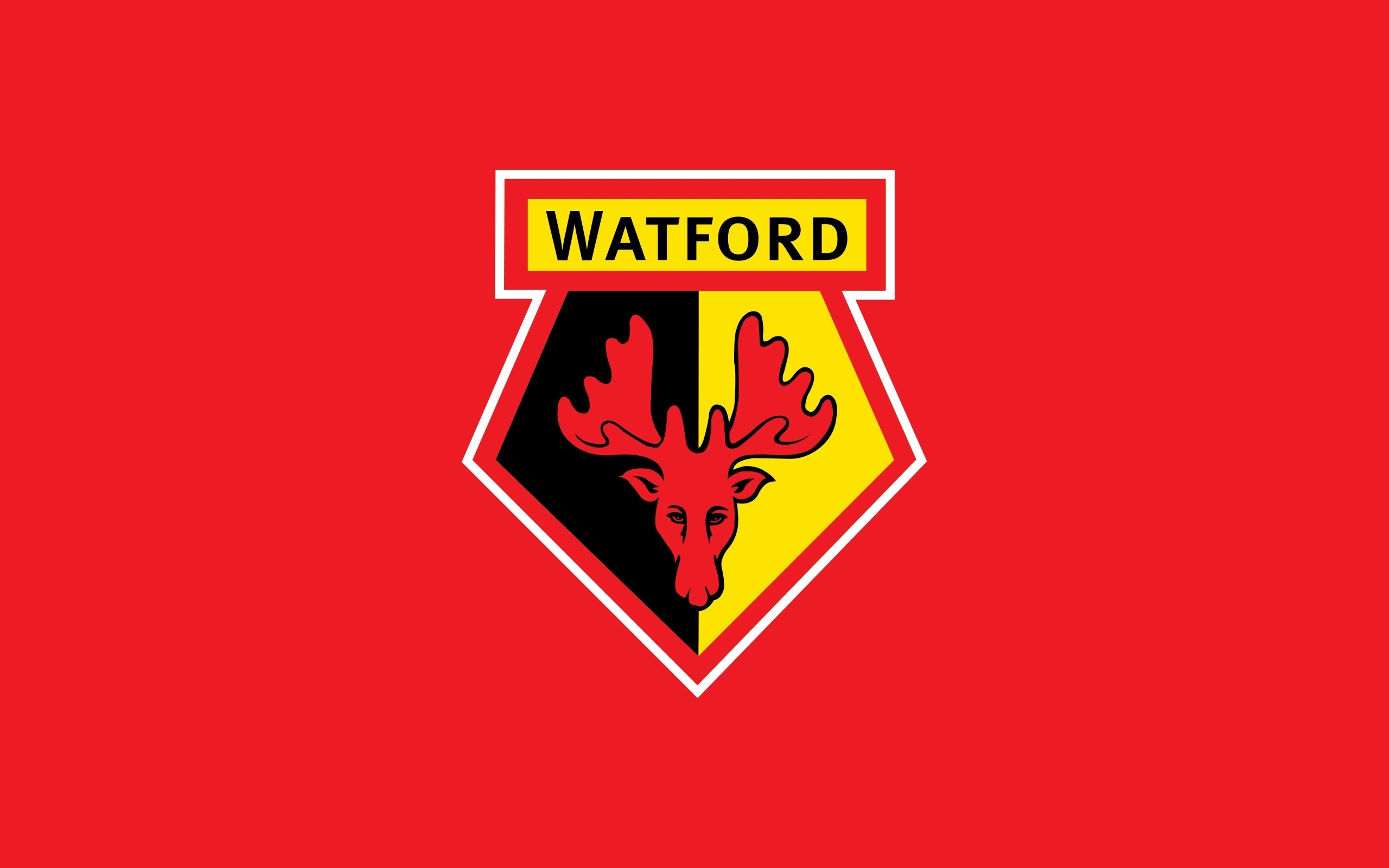 Watford FC Primary logo t shirt iron on transfers